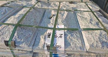 白银芝麻白蘑菇石，自然面